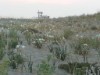 Image 24 - Outside