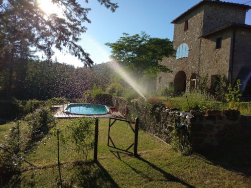 Ferielejlighed - 4 personer -  - Gaiole In Chianti - 53013
