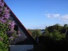 Bilde 4