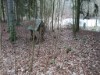 Image 5 - Outside