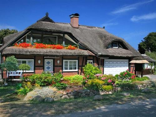 Sommerhus - 3 personer -  - 18586 - Middelhagen