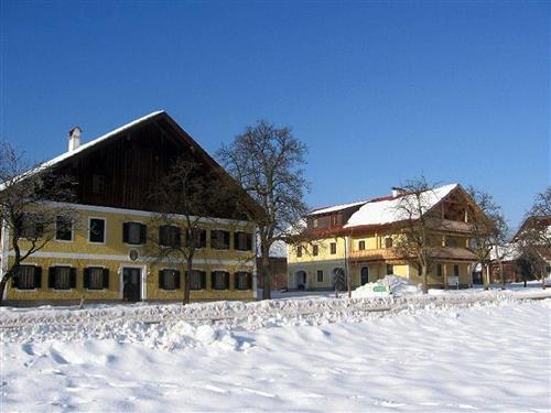 Semesterhus/Semesterlägenhet - 5 personer -  - Abtsdorf - 4864 - Attersee Am Attersee