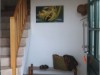Bilde 21