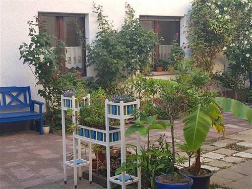 Ferieleilighet - 3 personer -  - Pfaffengasse - 06886 - Lutherstadt Wittenberg