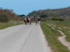 Billede 16
