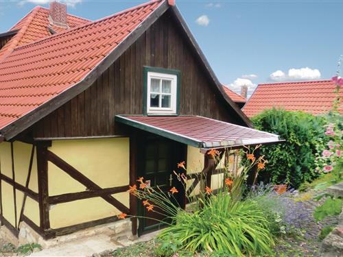 Holiday Home/Apartment - 3 persons -  - Harzstr. - 38889 - Blankenburg