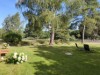 Bilde 5