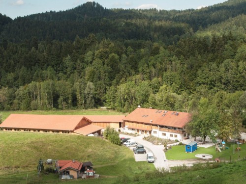 Ferienwohnung - 2 Personen -  - Meisau - 83313 - Siegsdorf