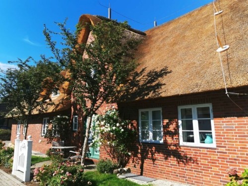 Sommerhus - 4 personer -  - 25946 - Nebel