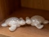 Bild 21
