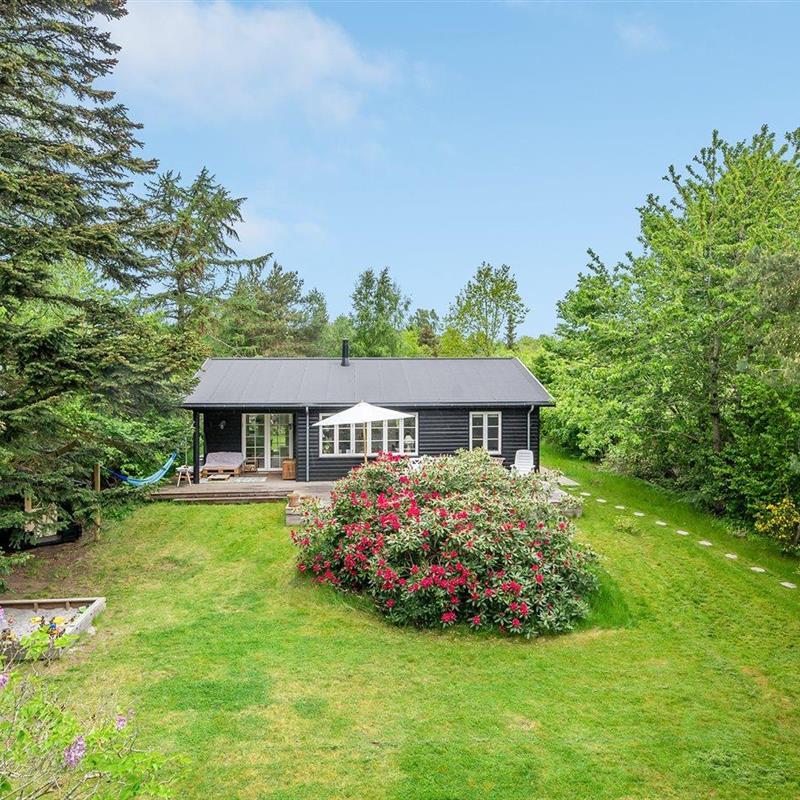 Sommerhus - 6 personer -  - Rågemarksvej - Rågeleje - 3210 - Vejby