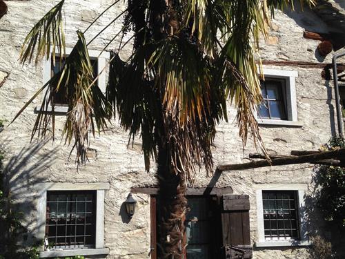 Holiday Home/Apartment - 6 persons -  - Strada Scateto - 6713 - Malvaglia