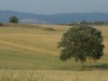 Billede 40