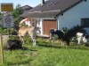 Bild 34