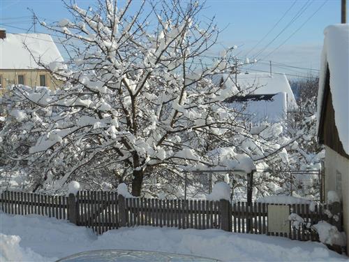 Ferienwohnung - 4 Personen -  - Förstenreuth - 95236 - Stammbach