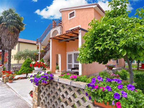 Semesterlägenhet - 5 personer -  - Novigrad (Istra) - 52466