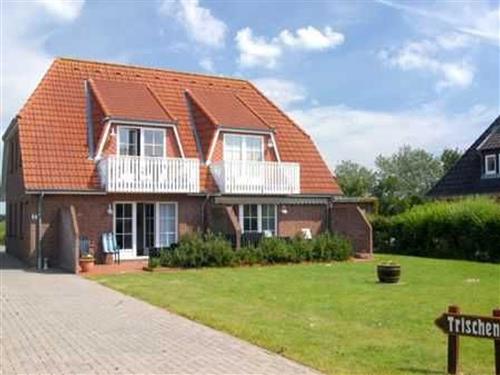 Ferienhaus - 4 Personen -  - Kirchenstr. - 25826 - St. Peter-Ording