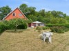 Bild 24