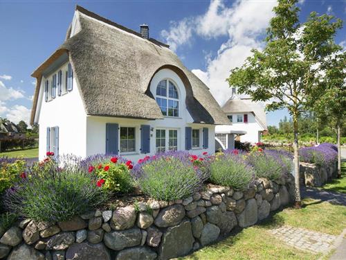 Feriehus - 5 personer -  - 18356 - Fuhlendorf