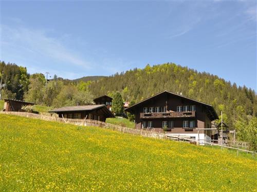 Ferielejlighed - 5 personer -  - Grindelwald - 3818
