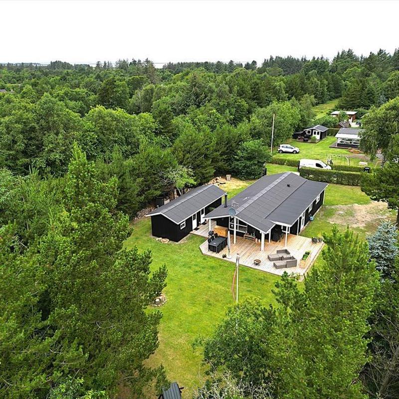 Ferienhaus - 6 Personen -  - Røllikevej - Nörhede - 6990 - Ulfborg