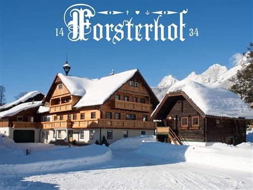 Bondegård - 4 personer -  - Ramsau - 8972 - Ramsau Am Dachstein