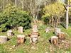 Bild 14 - Aussen