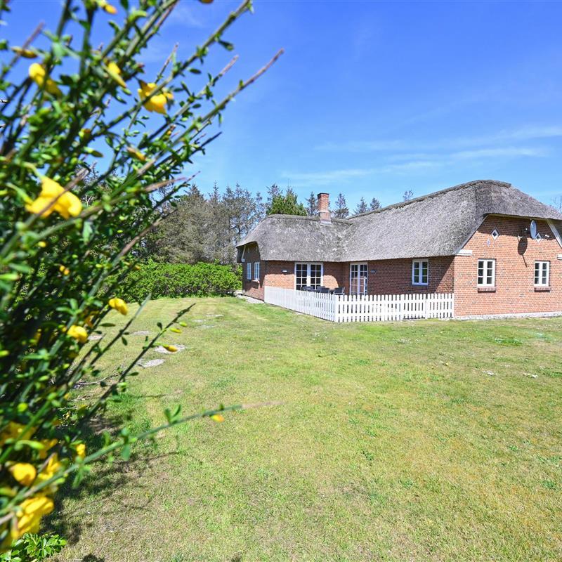 Ferienhaus - 6 Personen -  - Lars Murersvej 7 B - Vedersö Klit - 6990 - Ulfborg