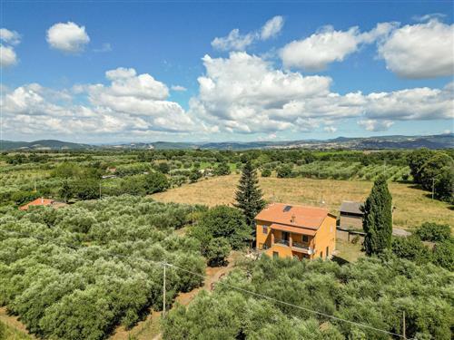 Sommerhus - 5 personer -  - Pitigliano - 58017