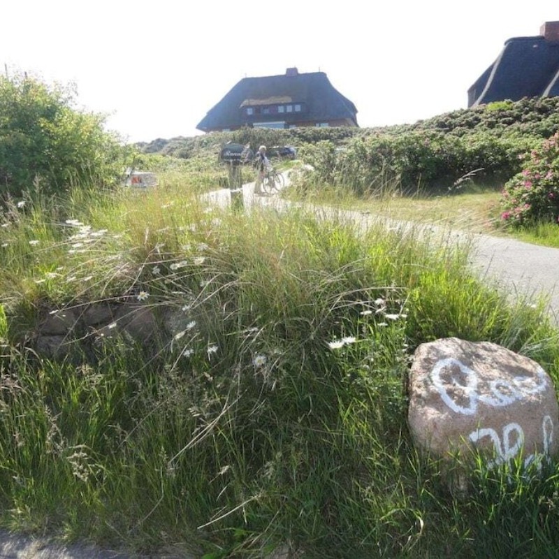 Sommerhus - 4 personer -  - 25980 - Sylt \/ Ot Rantum