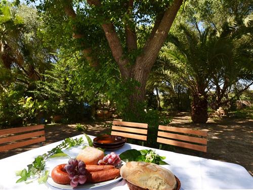 Villa - 11 persons -  - 07510 - Sineu