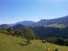 Bild 21