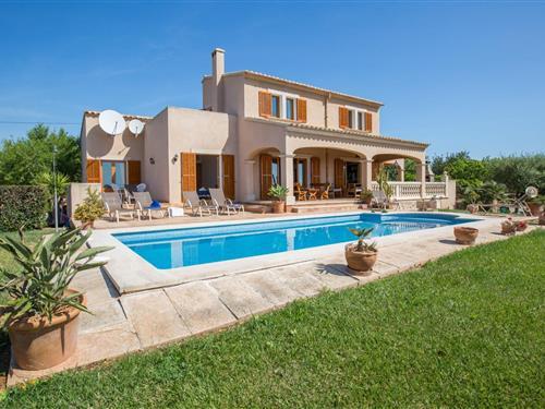 Villa - 8 personer -  - 07669 - Calonge - Santanyi, Illes