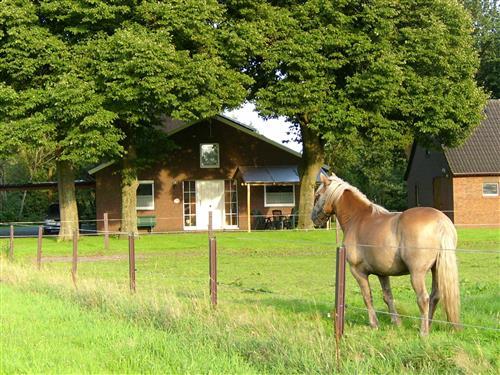 Sommerhus - 4 personer -  - Waldstr. - 26871 - Papenburg