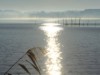Billede 29