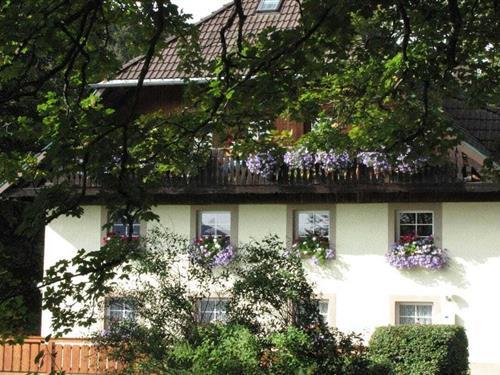 Feriehus - 2 personer -  - 79856 - Hinterzarten