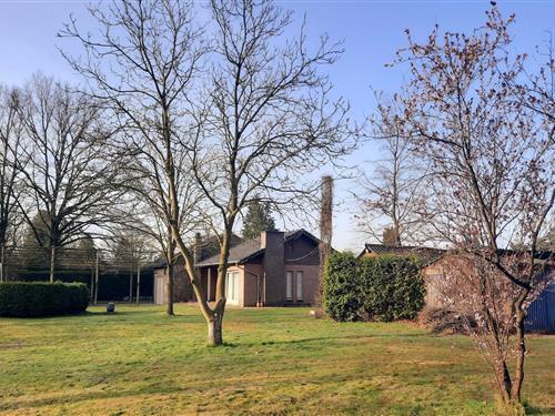 Sommerhus - 8 personer -  - 2330 - Merksplas