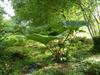 Bild 36