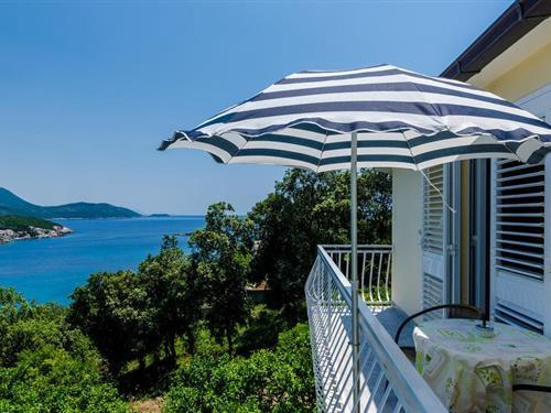 Ferielejlighed - 2 personer -  - Molunat - Dubrovnik-Molunat - 20215 - Gruda