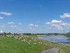 Bild 16