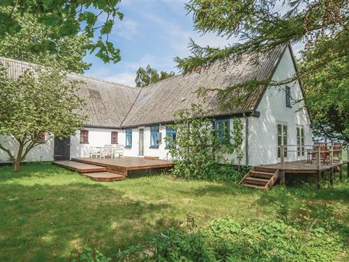 Ferienhaus - 7 Personen -  - Løvendal - 4850 - Stubbeköbing