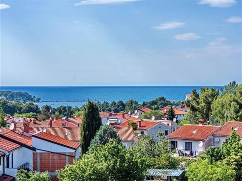 Holiday Home/Apartment - 5 persons -  - Velog Joze - 52440 - Porec