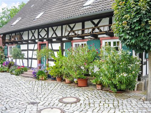 Vakantiehuis - 7 personen -  - Ichenheim - 77743