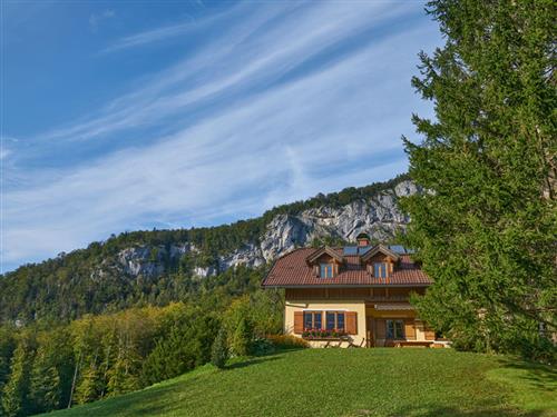 Holiday home - 8 persons -  - Posern - 4822 - Bad Goisern Am Hallstätte