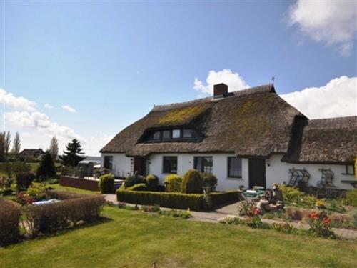 Ferielejlighed - 2 personer -  - Alt Reddevitz 6 a - 18586 - Middelhagen