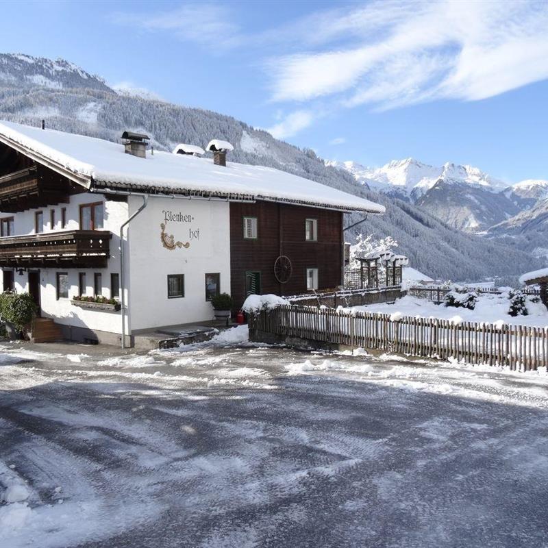 Sommerhus - 18 personer -  - Trattenbach - 5742 - Rosental