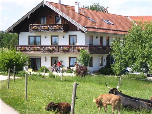 Ferieleilighet - 4 personer -  - Ried - 83376 - Truchtlaching