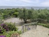Image 22 - Outside