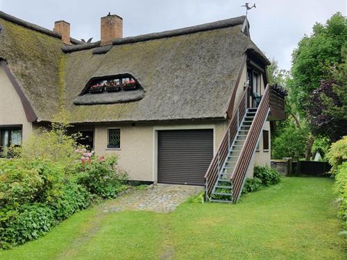Ferielejlighed - 2 personer -  - Dünenstr. - 18374 - Zingst