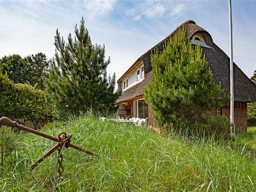 Sommerhus - 4 personer -  - Westerheide - 25992 - List